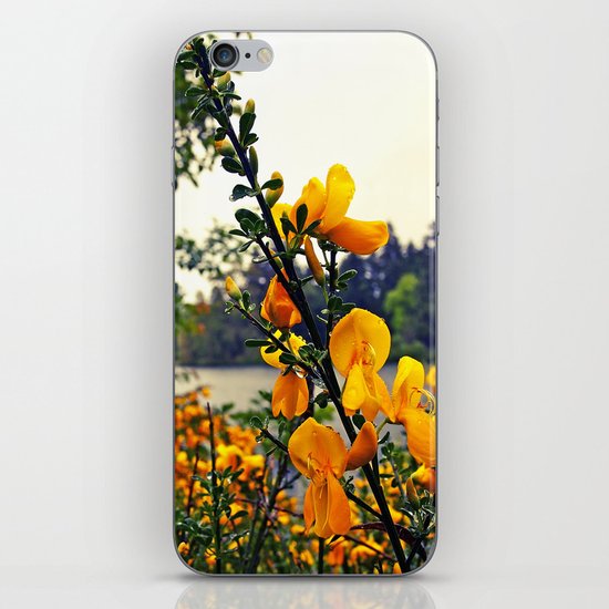 Rainy day flowers iPhone & iPod Skin