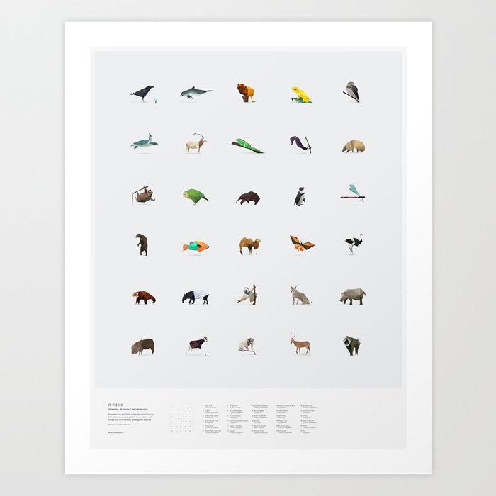 In Pieces – Species Collection Art Print
