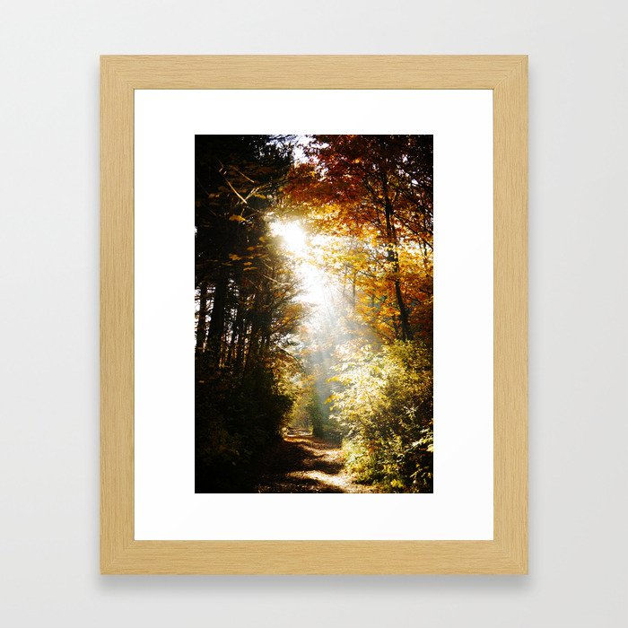 Forest path on an autumn morning Framed Art Print