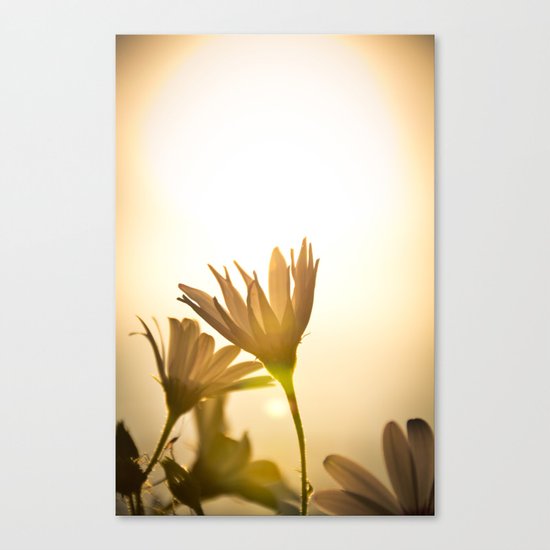 Summer Days Canvas Print