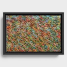 Rainbow carpet Framed Canvas