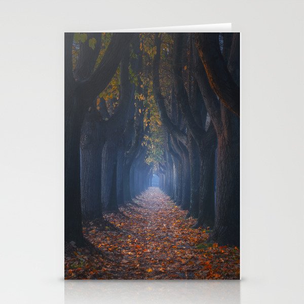 Autumn foliage in tree-lined walkway. Lucca, Italy. Stationery Cards