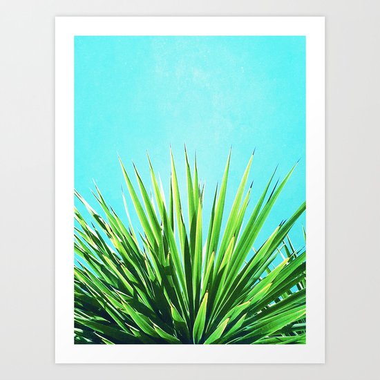 Solar Yucca Palm Art Print