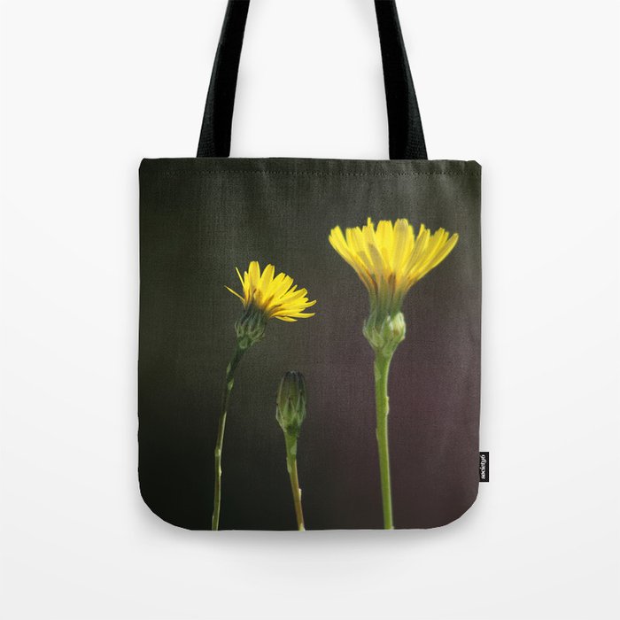 Dandelion Family Tote Bag by Anna Lemos | Society6