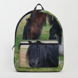 Gypsy Vanner Horses 0258 - Colorado Backpack | Nature, Domestic Animals, Equestrian, Equine, Gypsyvanner, Photo, Horse Lover, Chevaux, Domestic Horses, Horse Photography 