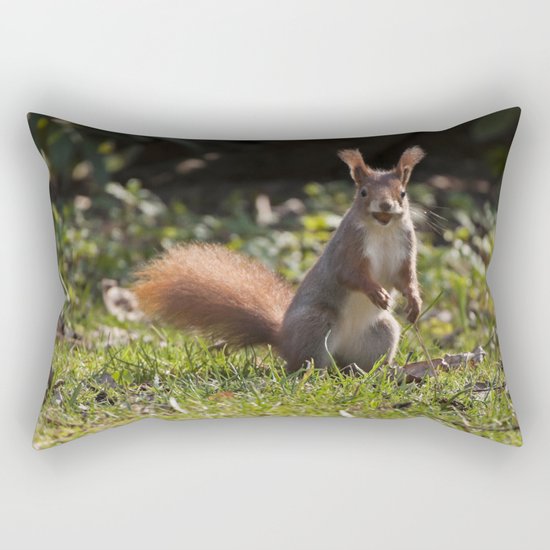 Do you have a nut - Cute squirrel animal on #Society6 Rectangular Pillow