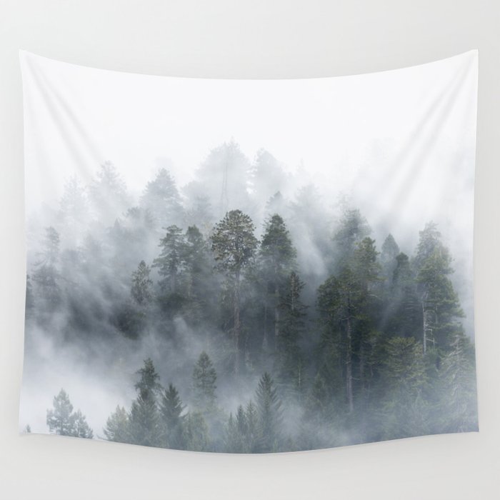 Redwood National Park Forest Fog Wall Tapestry