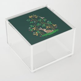 Bunny, Bird & Brambles Acrylic Box