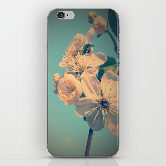 Pastel spring iPhone & iPod Skin