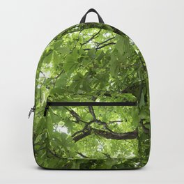 Canopy of walnut tree Backpack | Canopy, Green, Foliage, Photo, Big, Walnut, Color, Nature, Spring, Tree 