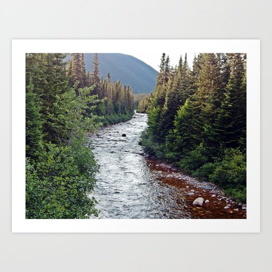 Forest Paradise Art Print