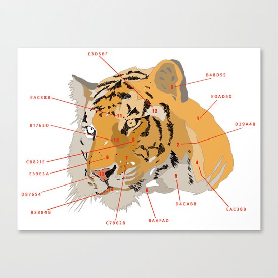 Tiger Colors Canvas Print