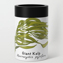 Giant Kelp - Macrocystis pyrifera Can Cooler