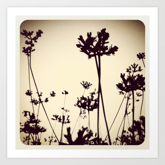 Black & White Art Print