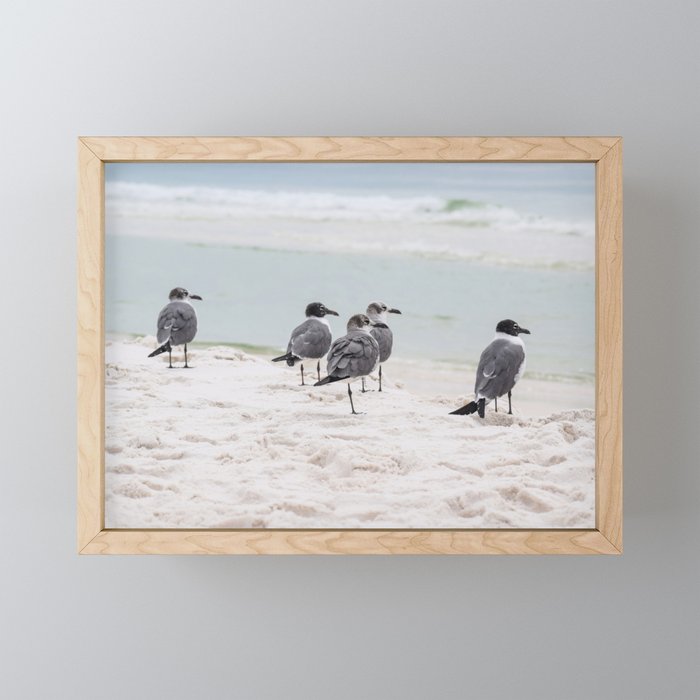 Shorebirds Coastal Hues Framed Mini Art Print
