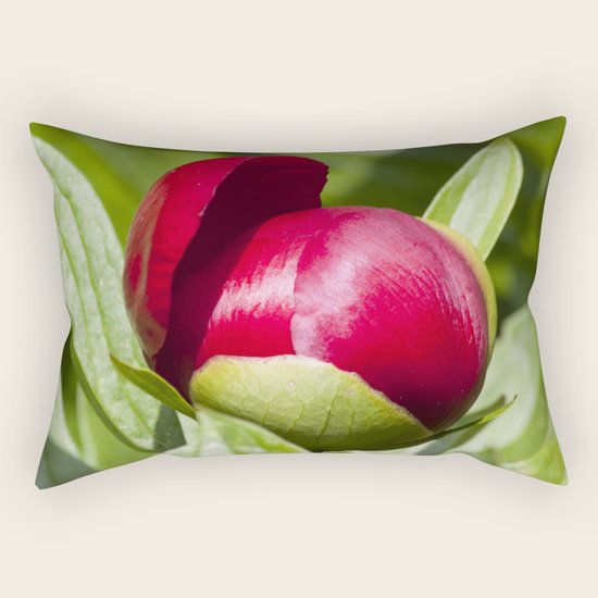 peony Rectangular Pillow