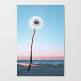 dandelion palm Canvas Print