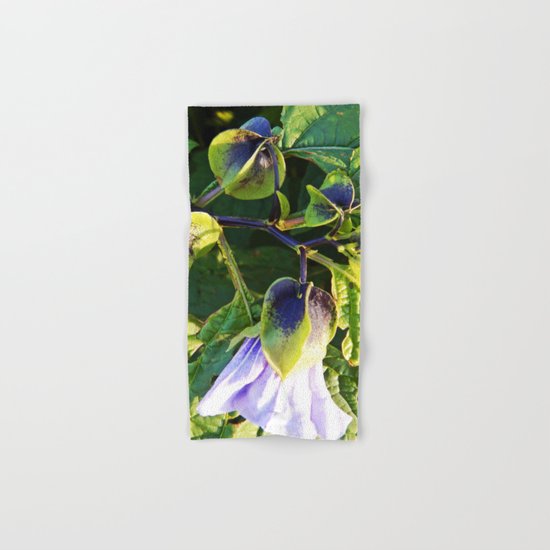 Shoo Fly - Apple of Peru - Nicandra Hand & Bath Towel