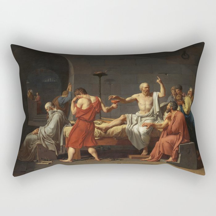 Rectangular Pillow