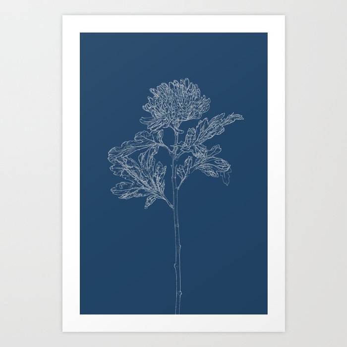 Chrysanthemum Blueprint Art Print