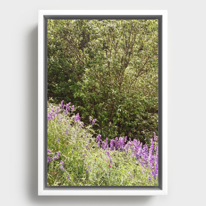 Magic spring forest landscape with purple wildflowers blossom Framed Canvas