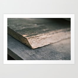 Close-up of a gray aged wood | Color | Macro Photography | Fine Art Photo Print Art Print
