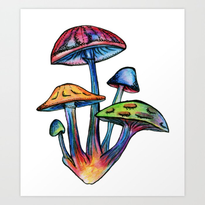 Cluster of Coloured Shrooms Art Print