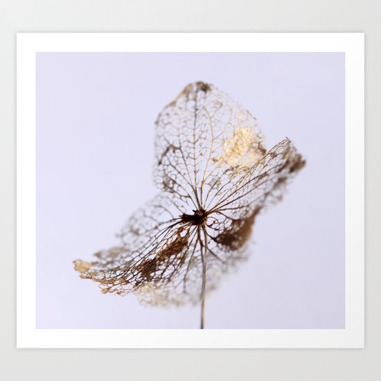 Delicate - JUSTART © Art Print