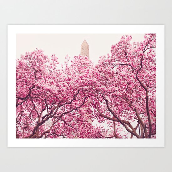 New York City - Central Park - Cherry Blossoms Art Print