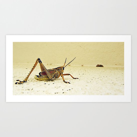 Grasshopper Art Print