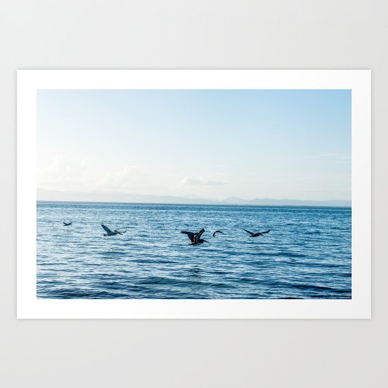 Flying Flock Art Print