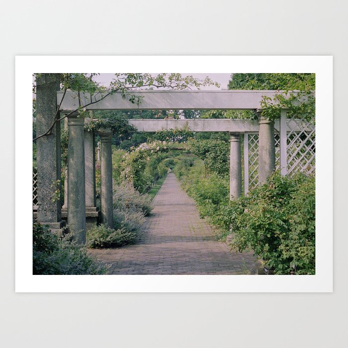 The Garden Path | 35mm Film Photography Art Print