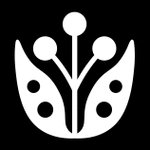 Grid Pink and Lavender