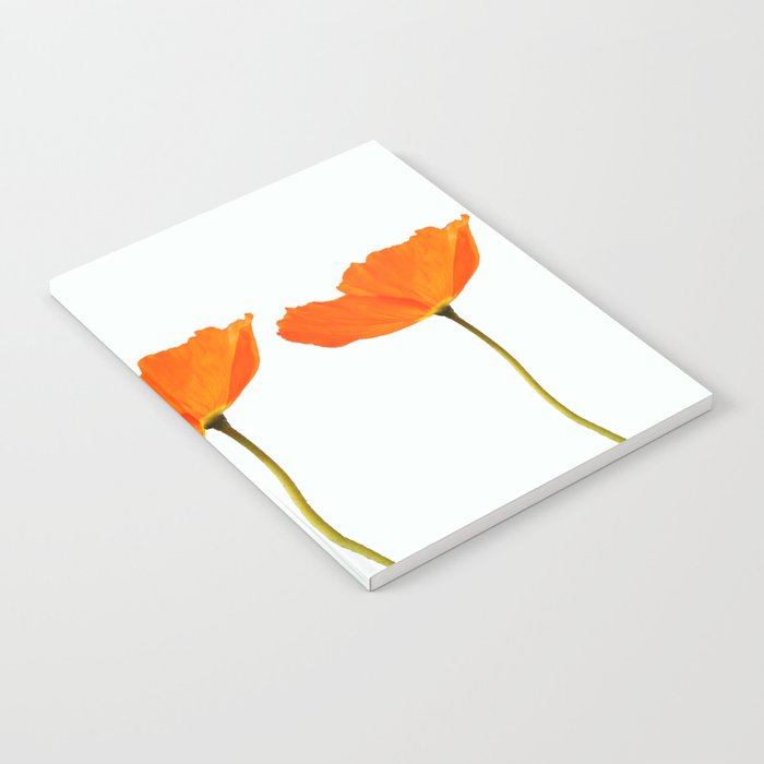 Three Orange Poppy Flowers White Background  Notebook