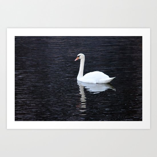 "Swan and Shadow" Hallstatt, Austria Art Print