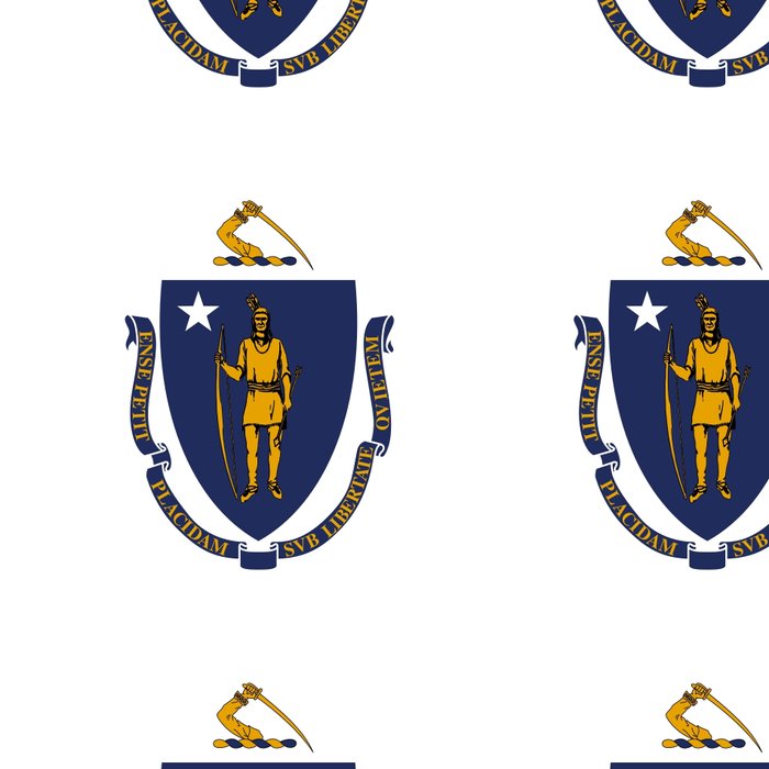 Flag Of Massachusetts America Usa Bay State Massachusite