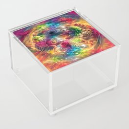 Rainbow Explosion Acrylic Box