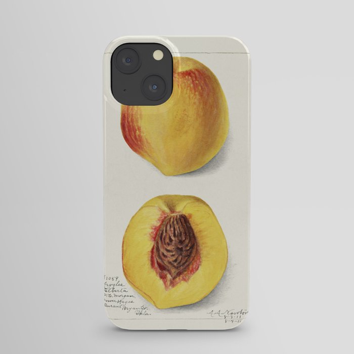 Peaches (Prunus Persica) (1911) by Amanda Almira Newton. iPhone Case