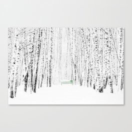 Green bench in white winter forest Canvas Print