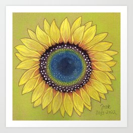 sunflower 4 Art Print