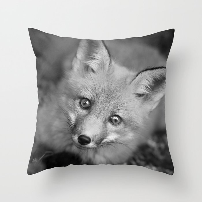 Black and White Close-up Portrait Youthful Fox Pup Face Animal / Wildlife / Nature Photograph Throw Pillow and More