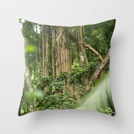 Brazil Photography - Tall Tropical Trees In The Rain Forest Throw Pillow
