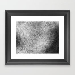 Tree Rings Framed Art Print