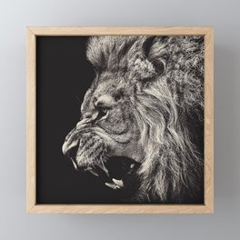 Angry Male Lion Framed Mini Art Print