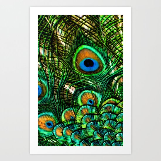 Eye of the Peacock Art Print
