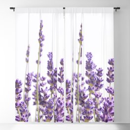 Purple Lavender #1 #decor #art #society6 Blackout Curtain