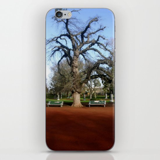 Elm Tree iPhone Skin
