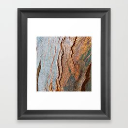 Eucalyptus Tree Bark and Wood Texture 18 Framed Art Print