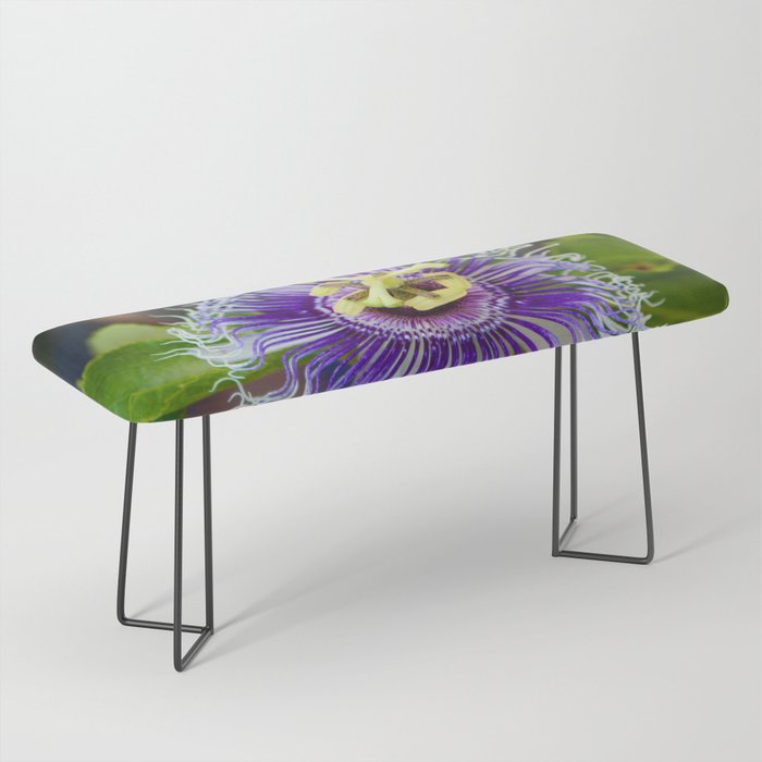 Passion Flower Bench