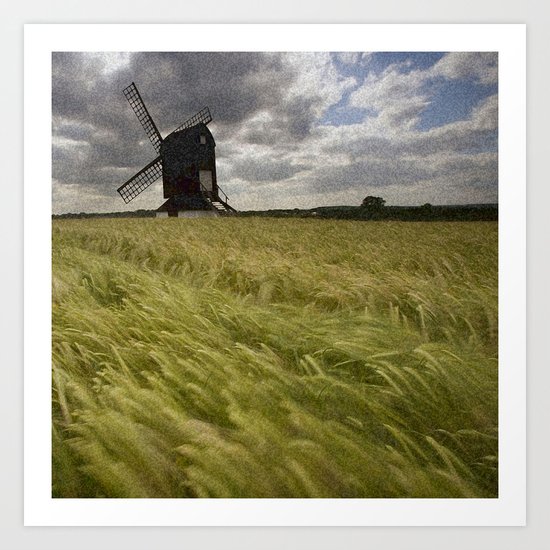 field Art Print
